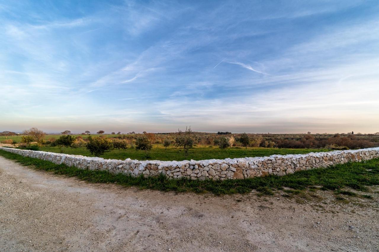 Agriturismo Tenuta Del Grillaio อัคควาวิวา เดลเล ฟอนติ ภายนอก รูปภาพ