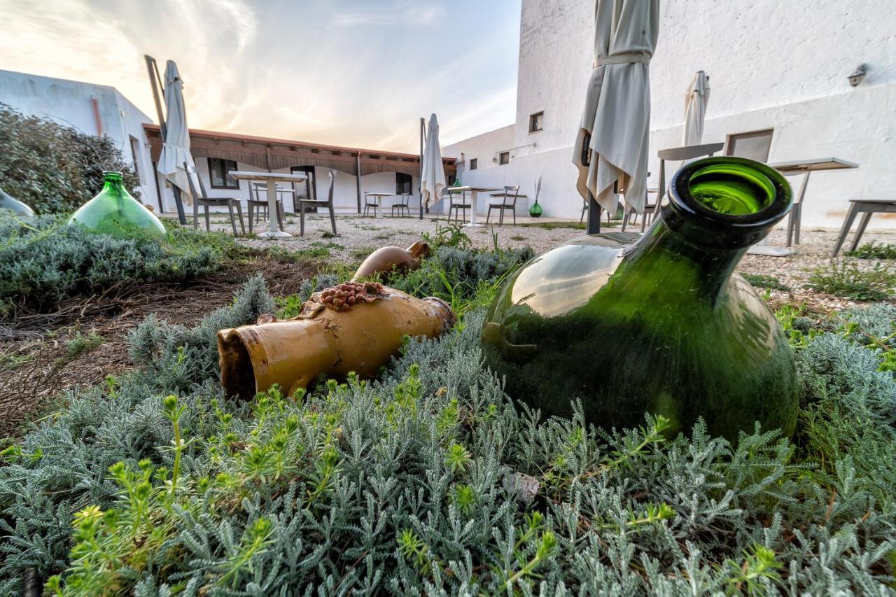 Agriturismo Tenuta Del Grillaio อัคควาวิวา เดลเล ฟอนติ ภายนอก รูปภาพ